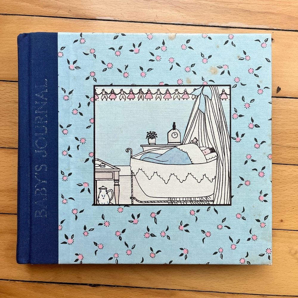 Blue and Pink Baby's Journal